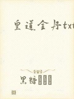 皇道金丹txt