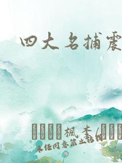 四大名捕震关东
