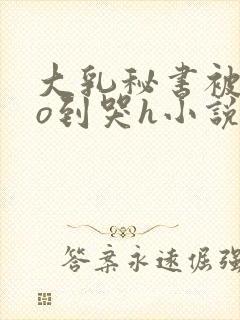 大乳秘书被cao到哭h小说