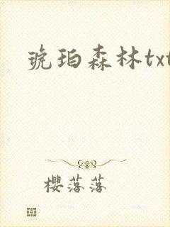 琥珀森林txt