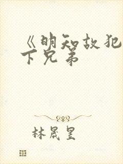 《明知故犯》年下兄弟