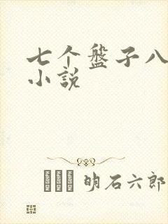 七个盘子八个碗小说
