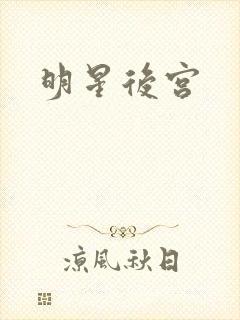 明星后宫