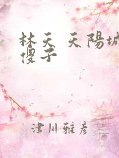林天 天阳城 傻子