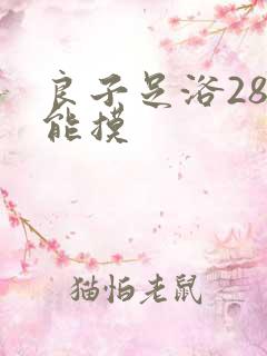 良子足浴288能摸