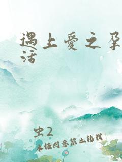 遇上爱之孕夫生活