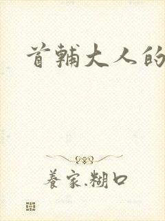 首辅大人的套路