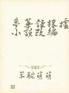 梦华录根据什么小说改编