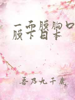 一面膜胸口一面膜下日本