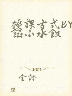 授课方式BY肉馅小水饺