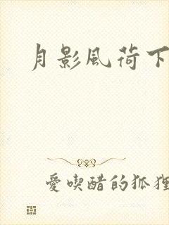 月影风荷下载