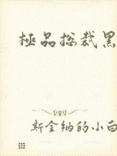 极品总裁黑道妻