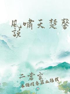 风啸天楚馨月小说