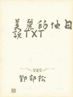 美丽的他日剧小说TXT