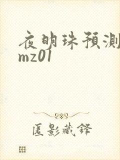 夜明珠预测 ymz01