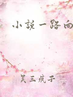 小说一路向西