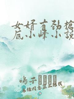 女婿有劲枪枪到底小峰小说