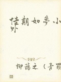 佳期如梦小说番外