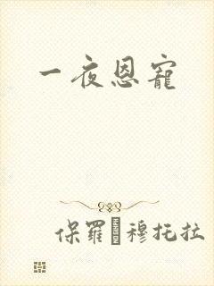 一夜恩宠