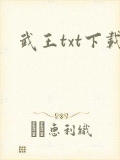 武王txt下载