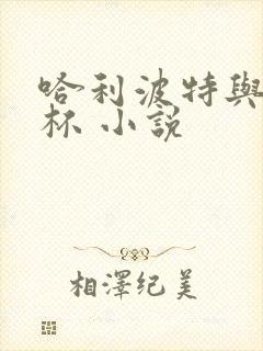 哈利波特与火焰杯 小说