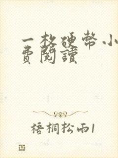 一枚硬币小说免费阅读