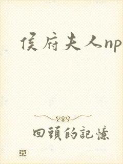 侯府夫人np