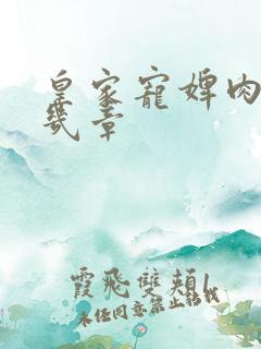 皇家宠婢肉在第几章