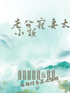 老公宠妻太甜蜜 小说