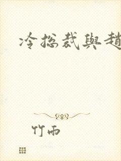 冷总裁与赵大牌