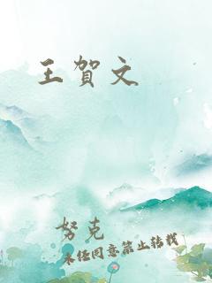 王贺文