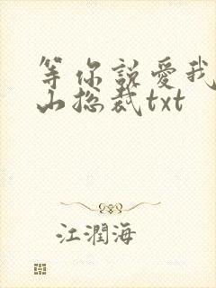 等你说爱我之冰山总裁txt