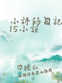 小诗的日记1一15小说