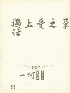 遇上爱之孕夫生活