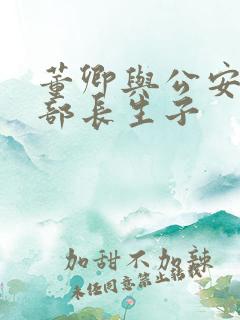 董卿与公安部副部长生子