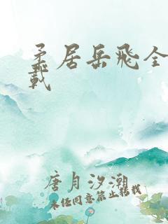 柔居岳飞全传下载