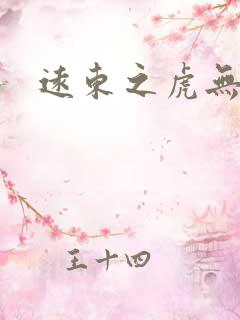 远东之虎无弹窗