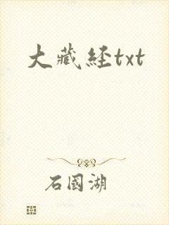 大藏经txt