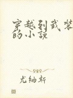 穿越到武装少女的小说