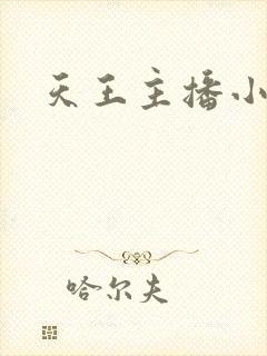天王主播小说