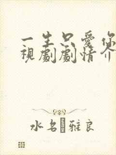 一生只爱你 电视剧剧情介绍