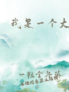 我是一个大盗贼