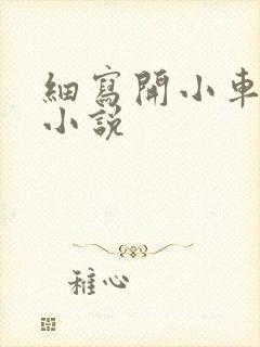 细写开小车车的小说
