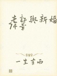 老许与新婚小倩74章