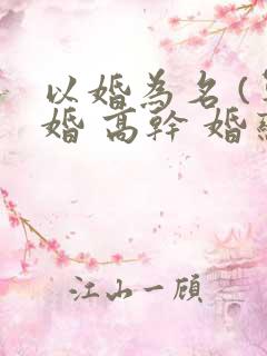以婚为名 (军婚 高干 婚恋)