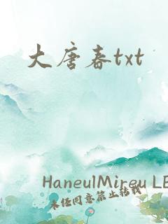 大唐春txt