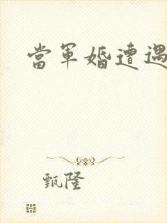 当军婚遭遇爱情