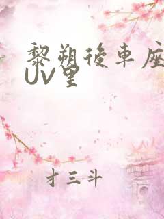 黎朔后车座上SUV里