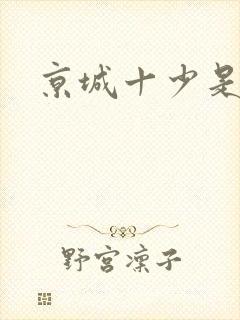 京城十少是谁