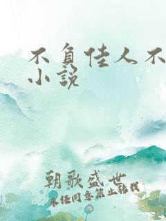 不负佳人不负卿小说